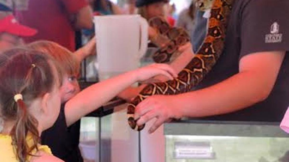 Plenty of snakes will be at Reptile Fest.