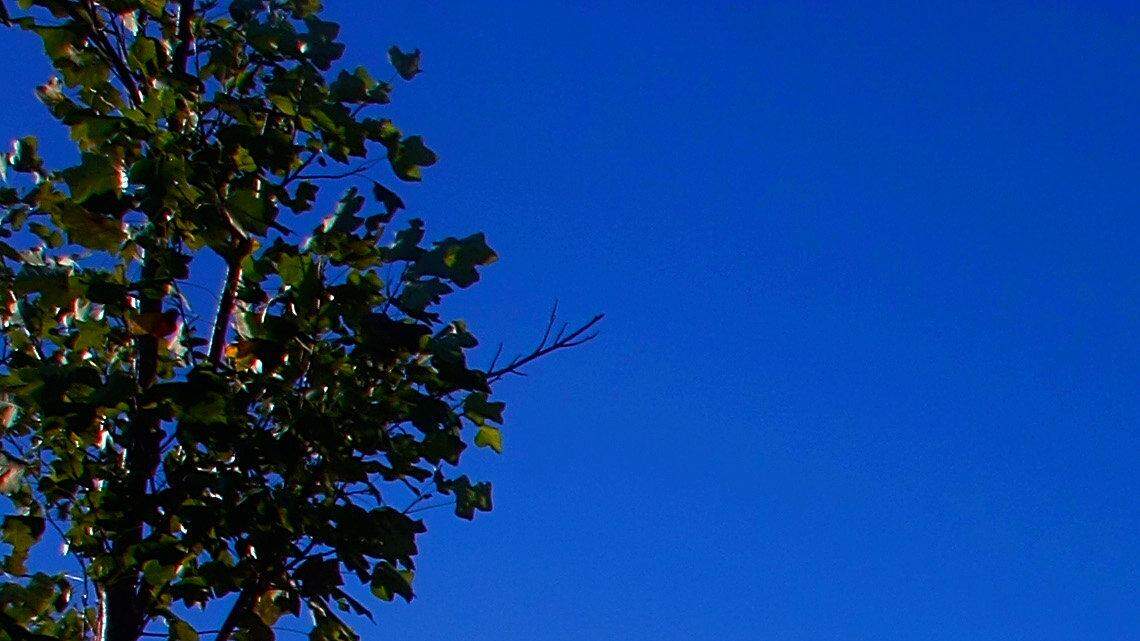 Mike Haskey mhaskey@ledger-enquirer.com 
 The new Muscogee County School District administration building is near completion. 09/30/09