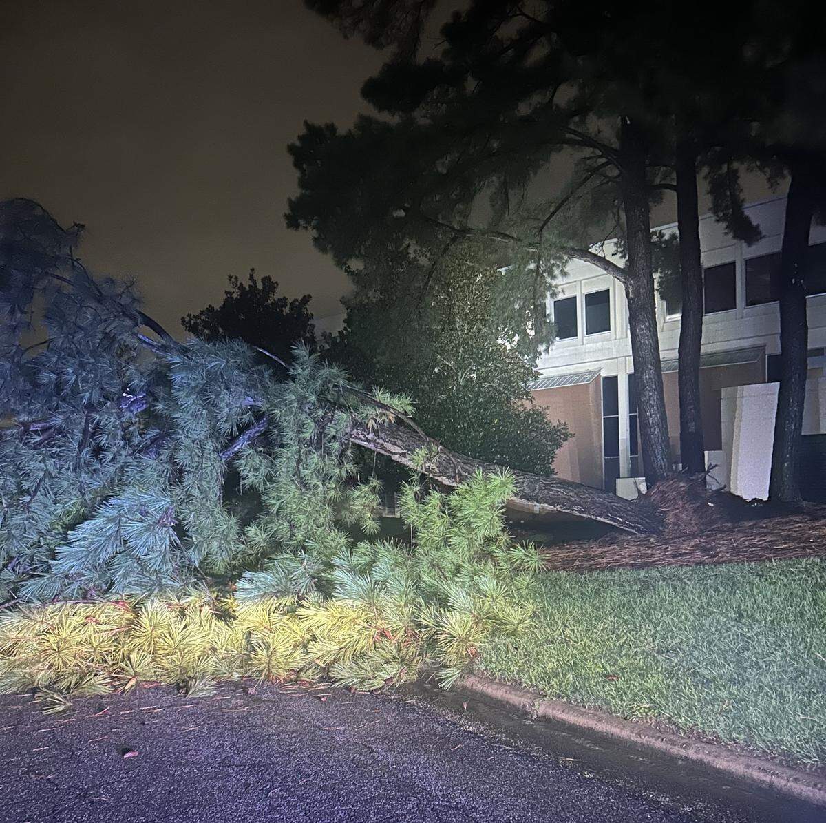 A tree fell on College Drive at Columbus State University’s main campus overnight from the storm associated with Hurricane Helene in the early hours of Sept. 27, 2024.