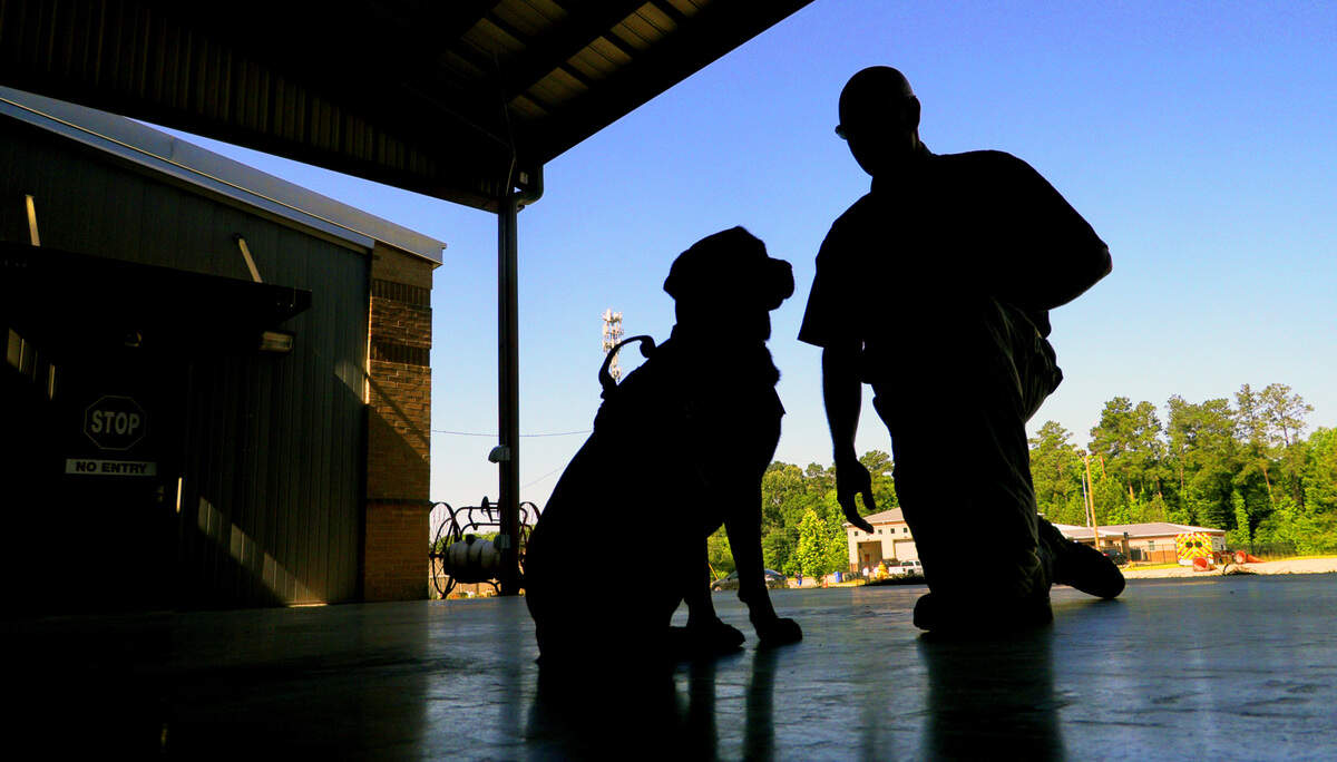 Sgt. Robert Collins, a fire investigator with Columbus Fire and Emergency Medical Services in Columbus, Georgia, is photographed with Carter. They recently successfully courses and testing at the Maine Accelerant Detection Canine School and are considered to be a canine accelerant detection team. 06/08/2022