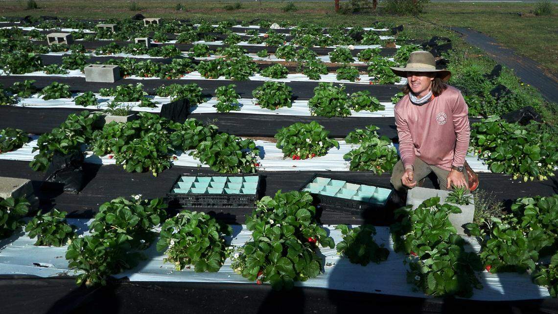 Family-friendly, hands-on learning. MercyMed Farm of Columbus hosting Plant Party