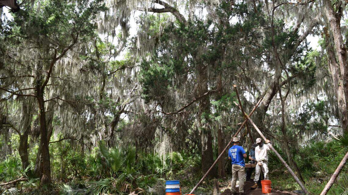 University of Georgia graduate students in the field leaving a Muscogee Shell Ring site. The image is taken across the plaza at the shell ring, which would have been the center of community life.