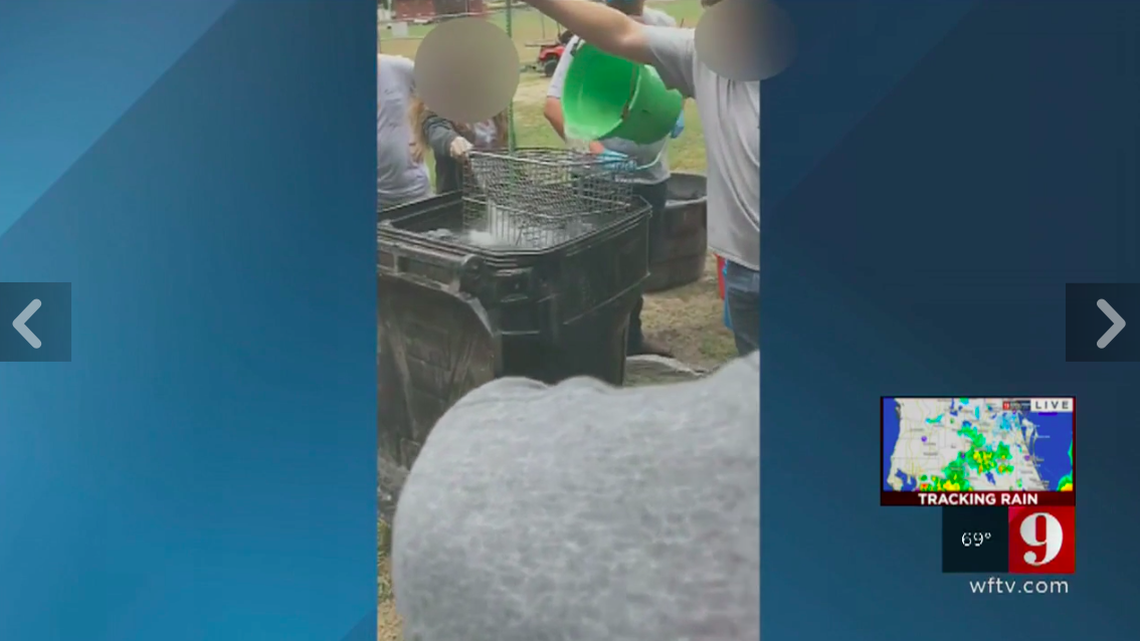 A Marion County, Florida, teacher has been placed on leave as wildlife officials and the school district investigate allegations that he drowned raccoons with students as part of an agriculture class. A student took video of the event.