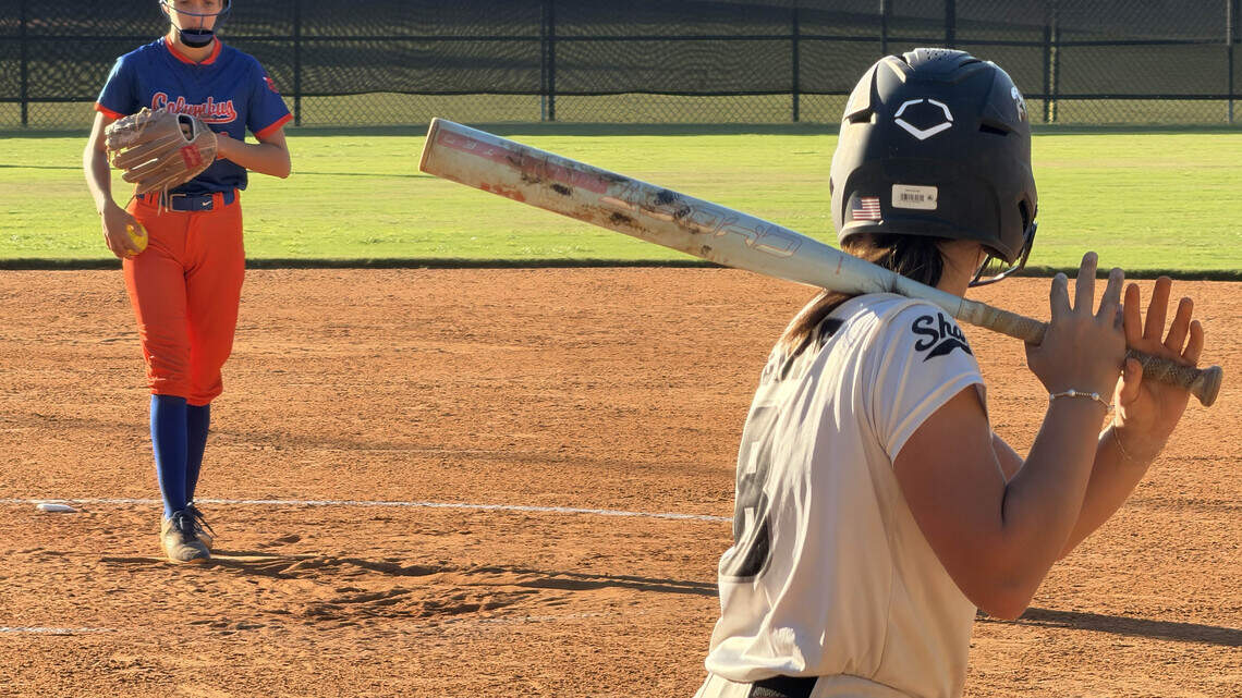 These high school softball teams in Columbus area are contending for state title