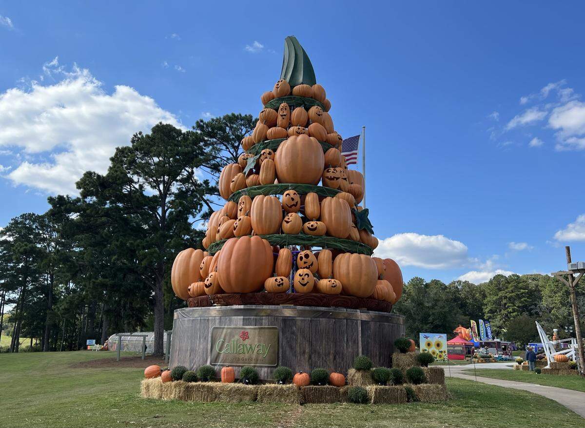 Pumpkins at Callaway has returned for a second year, and will run every Friday, Saturday and Sunday through Oct. 30.