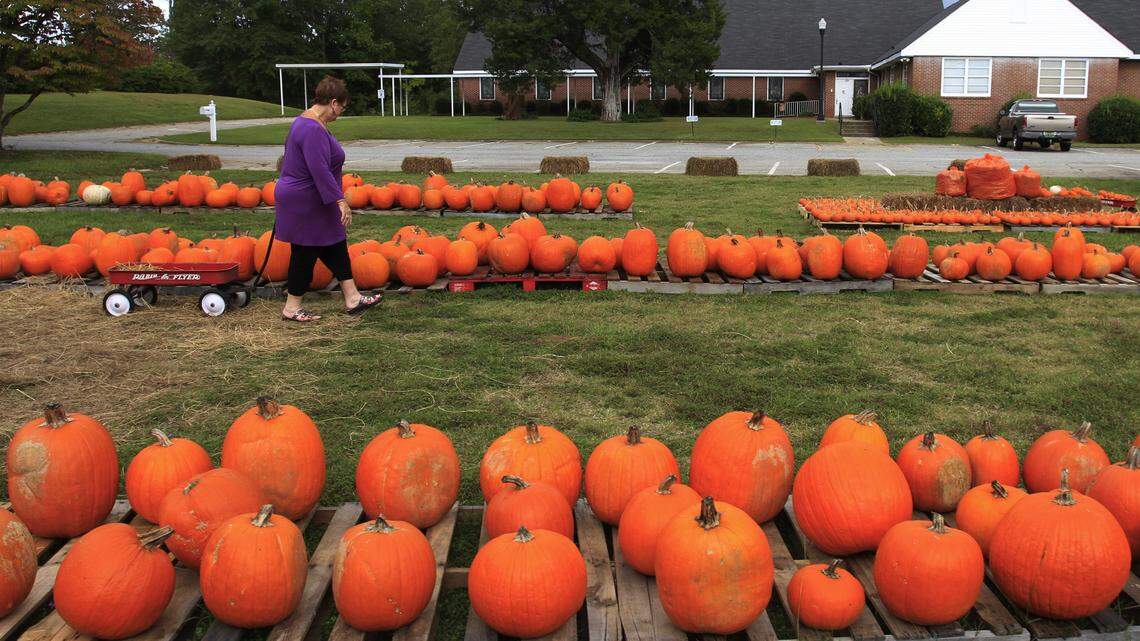Dorothy Giles looks Monday afternoon for pumpkins at Summerville United Methodist Church's pumpkin patch.