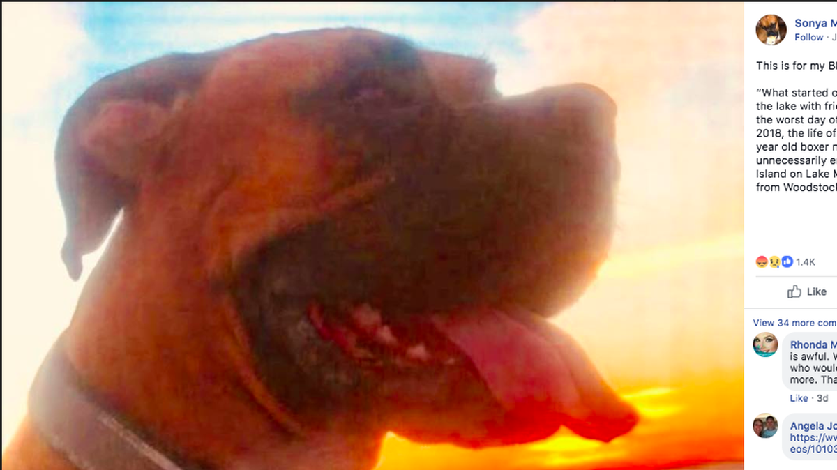 An Alabama family says they want justice for their dog Cletus, who was killed on Lake Martin on July 16.
