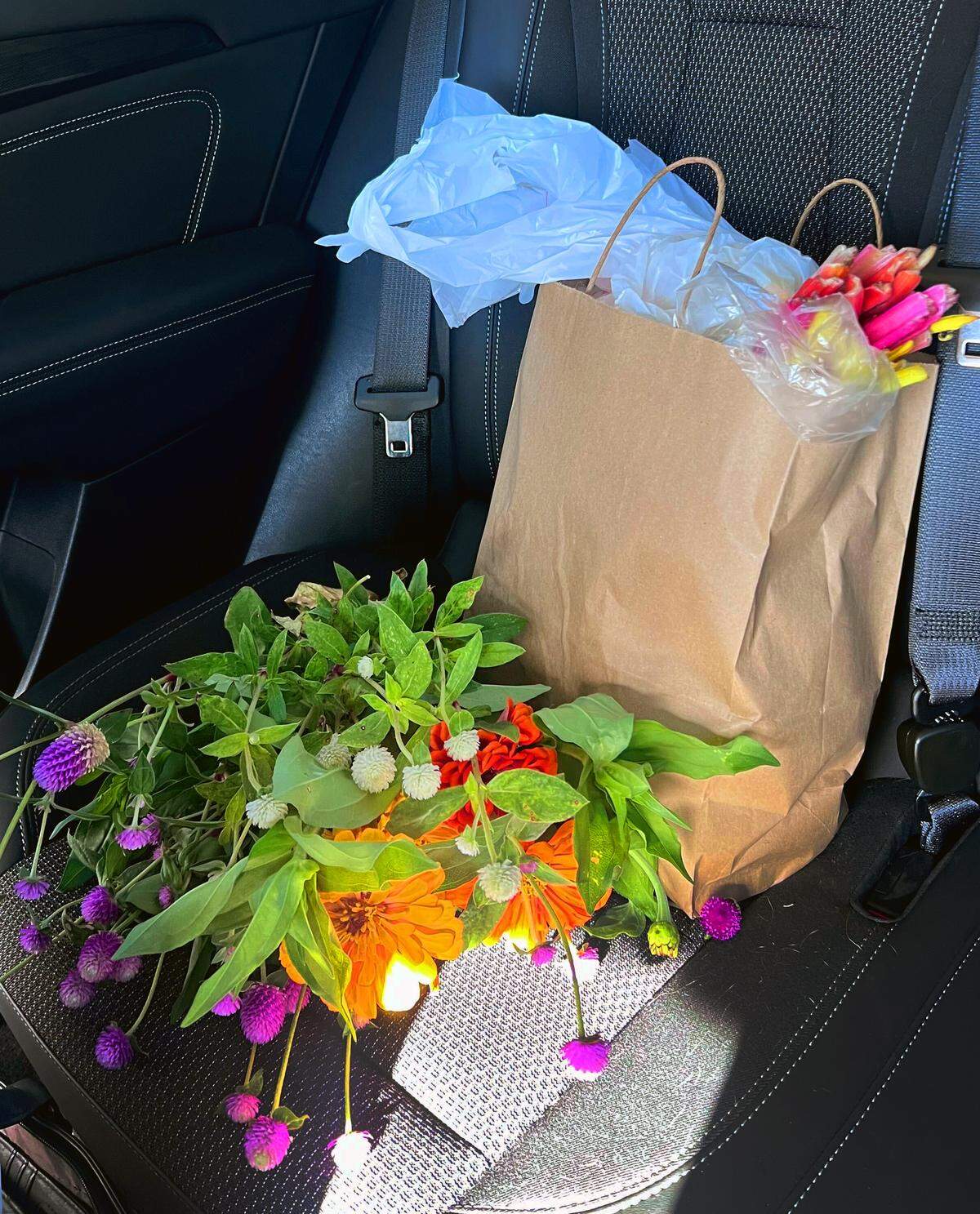 For this installment of Columbus on a Budget, Ledger-Enquirer reeporter Sundi Rose wanted to determine if she could stretch $25 farther than ever and feed her entire family for that amount. To do so, she purchased her produce at the farmer’s market at MercyMed Farm in Columbus, Georgia.