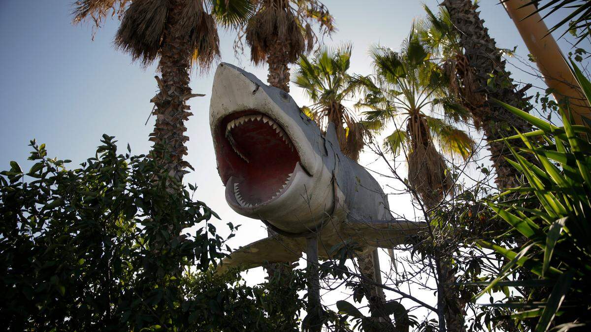 In this Wednesday, Nov. 11, 2015 photo, one of the giant mechanical sharks that starred in the movie "Jaws" is seen at Aadlen Brothers Auto Wrecking, also known as U Pick Parts, in the Sun Valley section of Los Angeles. It's not just a junkyard or even a really big junkyard, but a living, breathing monument to Los Angeles pop culture. But the family business is closing on New Year's Eve, and everything must go by then, the cars, the shark, the arches, even the giant car-crushing machine. (AP Photo/Jae C. Hong)