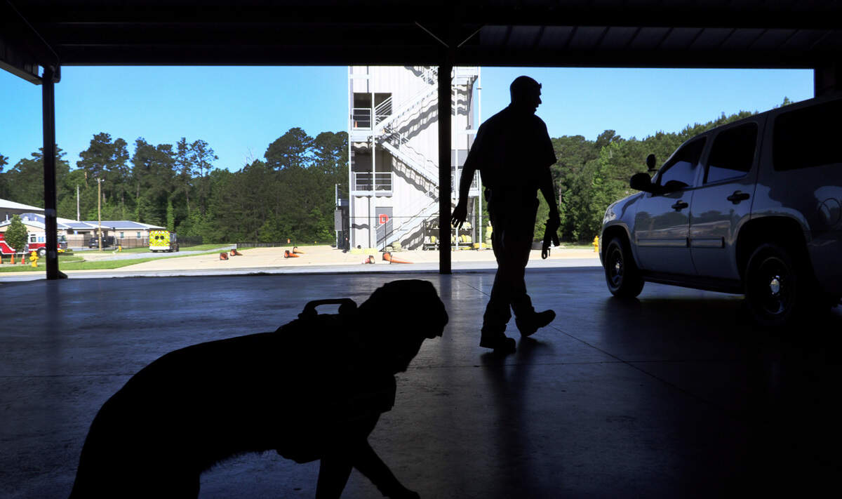 Sgt. Robert Collins, a fire investigator with Columbus Fire and Emergency Medical Services in Columbus, Georgia, and Carter prepare to demonstrate Carter’s ability to find accelerants by scent. 06/08/2022
