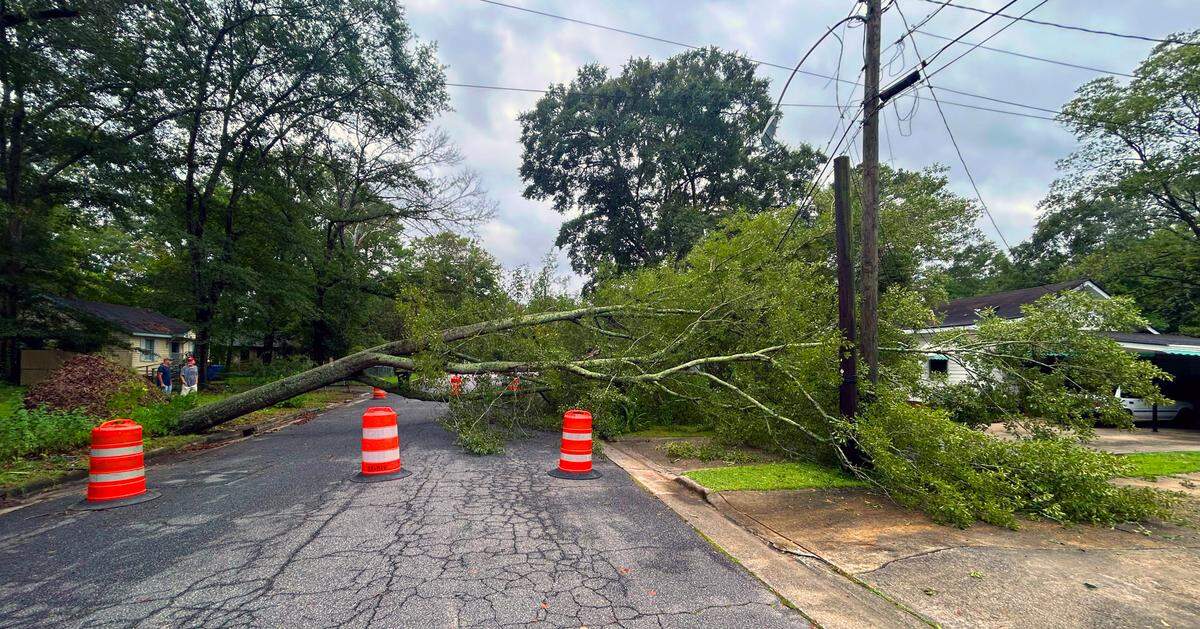 A tree fell early Friday across the roadway of Berkley Avenue in Columbus. Hurricane Helene swept through Columbus Thursday night and Friday morning, causing downed trees around the city. 09/27/2024