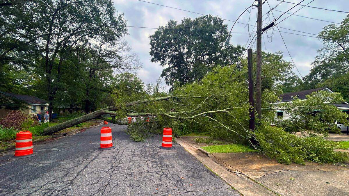 A tree fell early Friday across the roadway of Berkley Avenue in Columbus. Hurricane Helene swept through Columbus Thursday night and Friday morning causing downed trees around the city.
