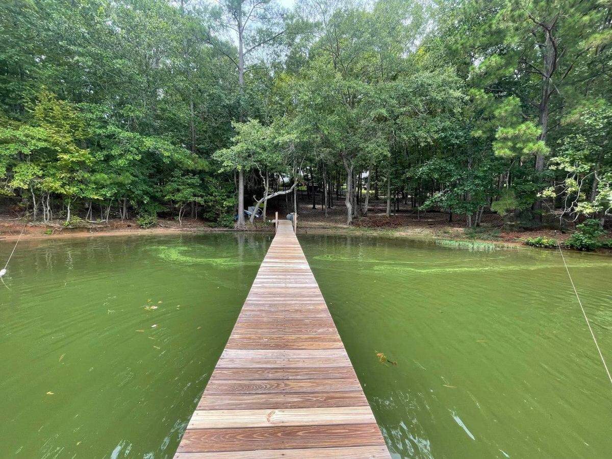 Slough near private dock experiencing a Harmful Algal Bloom (HAB) in 2022 on West Point Lake