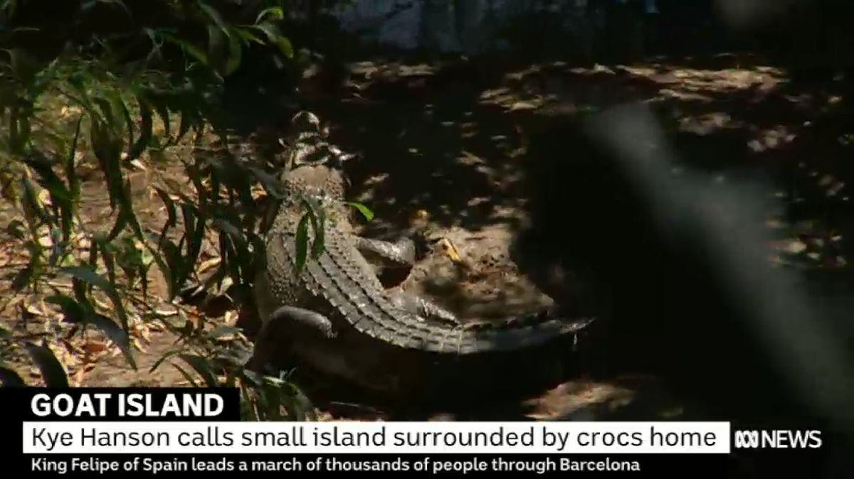 A terrier's luck ran out after she was eaten by the gator she had harassed for years on Goat Island in Australia.