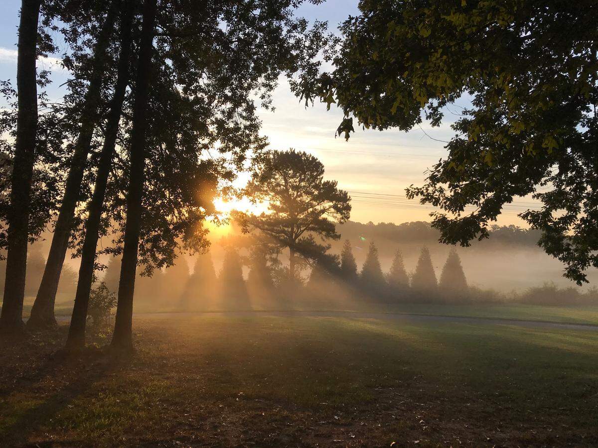 A sunrise through the cedar trees in the Hutchings’ backyard in Fayette County, Georgia.