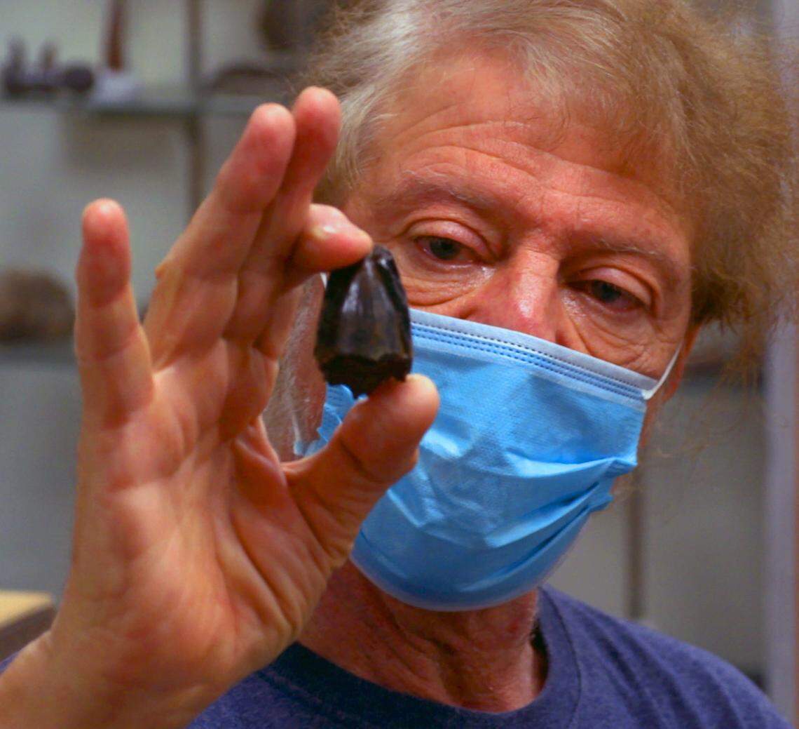 A prehistoric species has been named after a Columbus State University professor. CSU geology professor David Schwimmer is the namesake for Deinosuchus schwimmeri, a giant reptile that was so big — estimated as long as 35 feet, equivalent to a 72-passenger school bus — they feasted on dinosaurs and were considered the largest predators in the coastal wetlands of what is now the southeastern United States 75-82 million years ago.