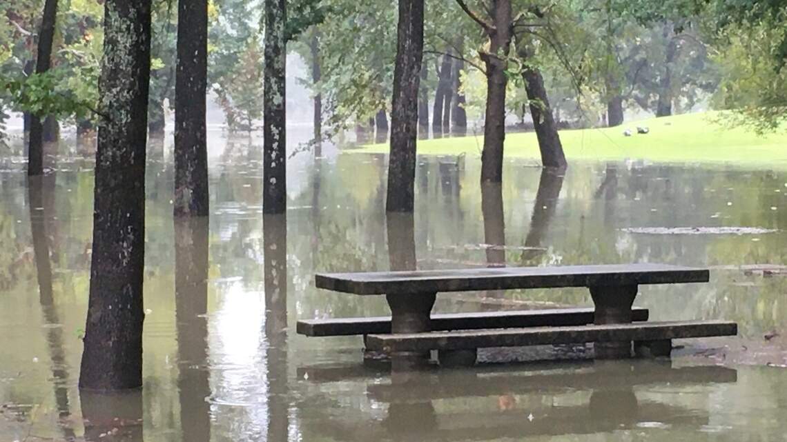Live updates: Tropical Storm Sally passed through Columbus overnight. Here’s what to know