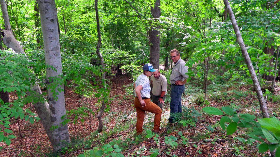 From left, Joyce Klaus, owner and conservation scientist at Terra-Ignea Enterprises, Matt Elliott, chief of wildlife conservation at Georgia DNR, and Nathan Klaus, senior wildlife biologist at the Georgia DNR, walk through the Upatoi Ravines Natural Area. 05/16/2025