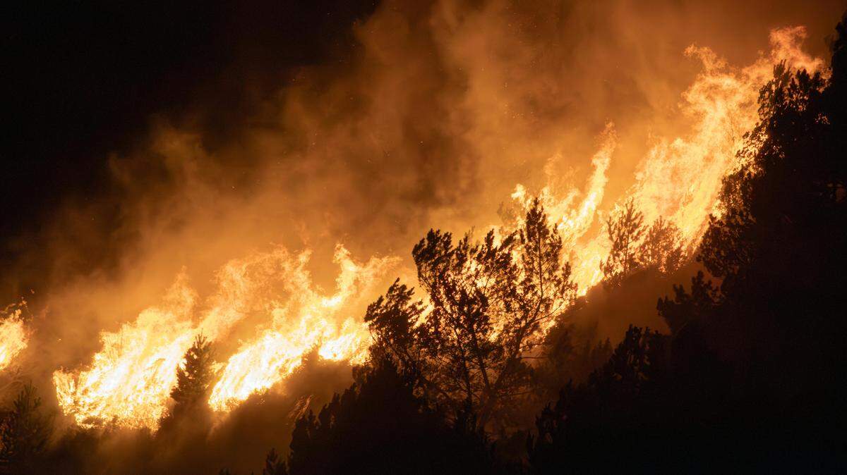 Conditions could make Georgia’s wildfire season the most dangerous one yet.