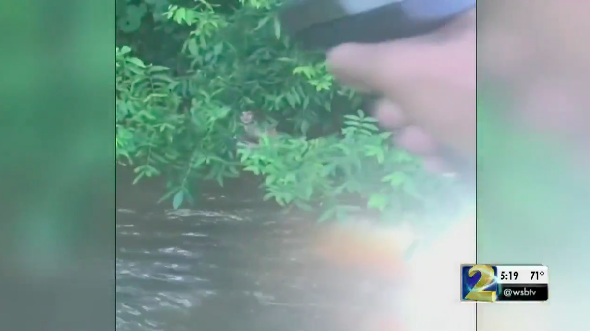 Police charged Josten Meeler with child molestation and public intoxication after they say he was detained at gunpoint while naked at a Covington, GA park. The dad who detained him was praised for his actions.