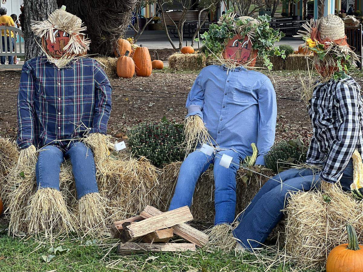 Pumpkins at Callaway has returned for a second year, and will run every Friday, Saturday and Sunday through Oct. 30.