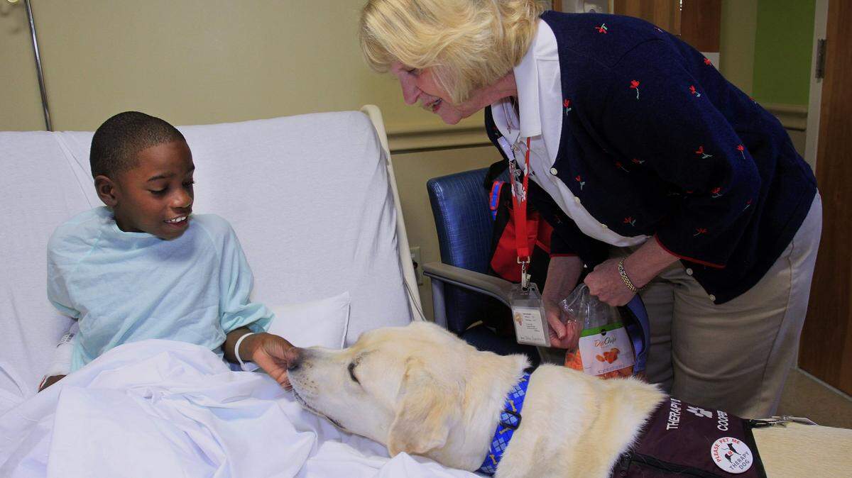 Mike Haskey/mhaskey@ledger-enquirer.comNine-year-old Joshua Murray pets therapy dog Cooper on Wednesday at The Children's Hospital at Midtown Medical Center as Cooper's owner Nancy Nyswaner watches.