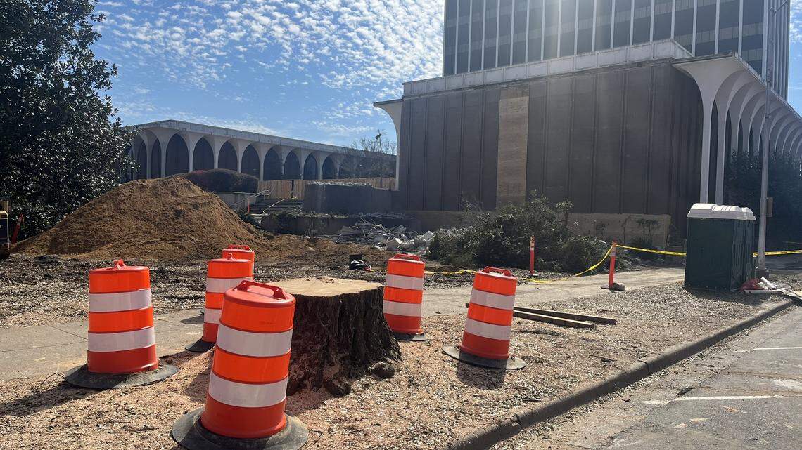 Historic trees cut for new Judicial Center project. It violates Columbus tree ordinances