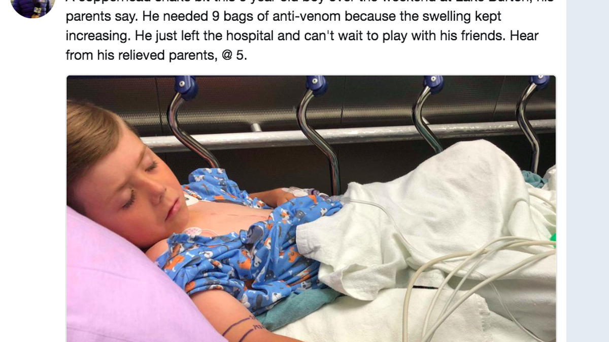 A six-year-old Georgia boy was hospitalized when he was bitten in the finger by a copperhead snake. But his parents say he was the calm one in the situation because snakes are his favorite animals and he knew what to do.