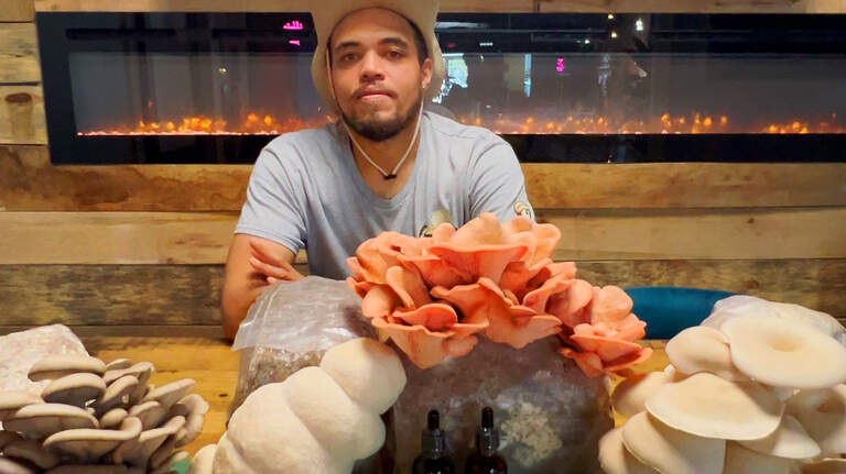 Cordyceps that won’t create zombies. Columbus chef finds niche with mushrooms