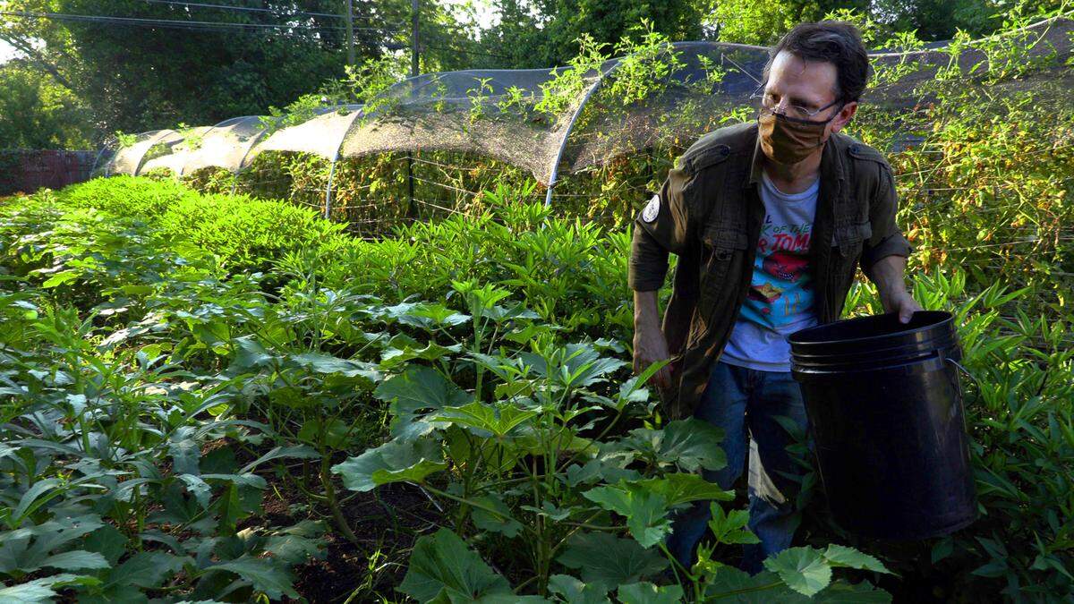 A Columbus couple’s self-described “third act retirement project” to combat food insecurity in Columbus is providing fresh, locally grown produce to a Columbus neighborhood, and potentially saving residents a trip to the grocery store during the ongoing Coronavirus pandemic. Brad Barnes and Jenn Collins, who operate Dew Point Farm, recently started a pop up market at their 0.15 acre urban farm on 16th Avenue in Columbus’ Midtown community to sell the fresh produce grown there to neighborhood residents. “We’ve had folks in this neighborhood walk by while we’re here harvesting, just asking hey can we go ahead and buy some tomatoes from you, that’ll save me a trip to the grocery store,” Barnes said.