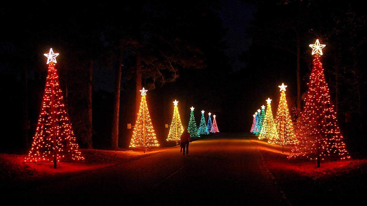 Special to the Ledger-Enquirer/Darrell Roaden. 
 People walk through Fantasy in Lights during the annual March of Dimes fundraiser in November. Ledger-Enquirer File Photo