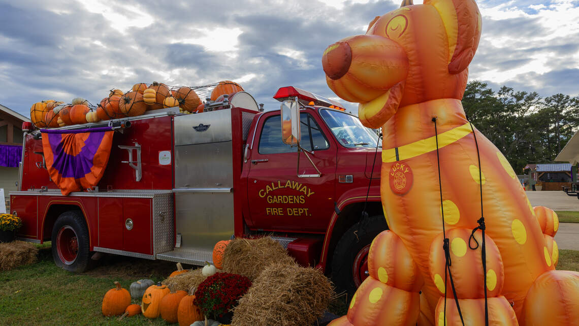 Kooky, not spooky: How to visit Pumpkins at Callaway the right way this fall