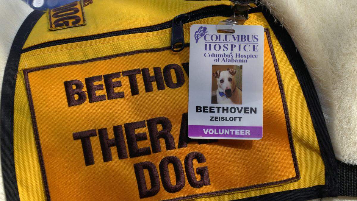 Beethoven, a service dog with the Muscogee County Sheriff’s Office, visits Columbus Hospice of Georgia and Alabama in Columbus, Georgia recently. Beethoven’s handler, Shanon Zeisloft is the 2020 recipient of the Specialized Volunteer Service Award for her work at Columbus Hospice. Zeisloft, known as “Z” is a lieutenant in the Muscogee County Sheriff’s Office. The national hospice volunteer award was presented by the National Hospice and Palliative Care Organization during their recent virtual interdisciplinary conference.
