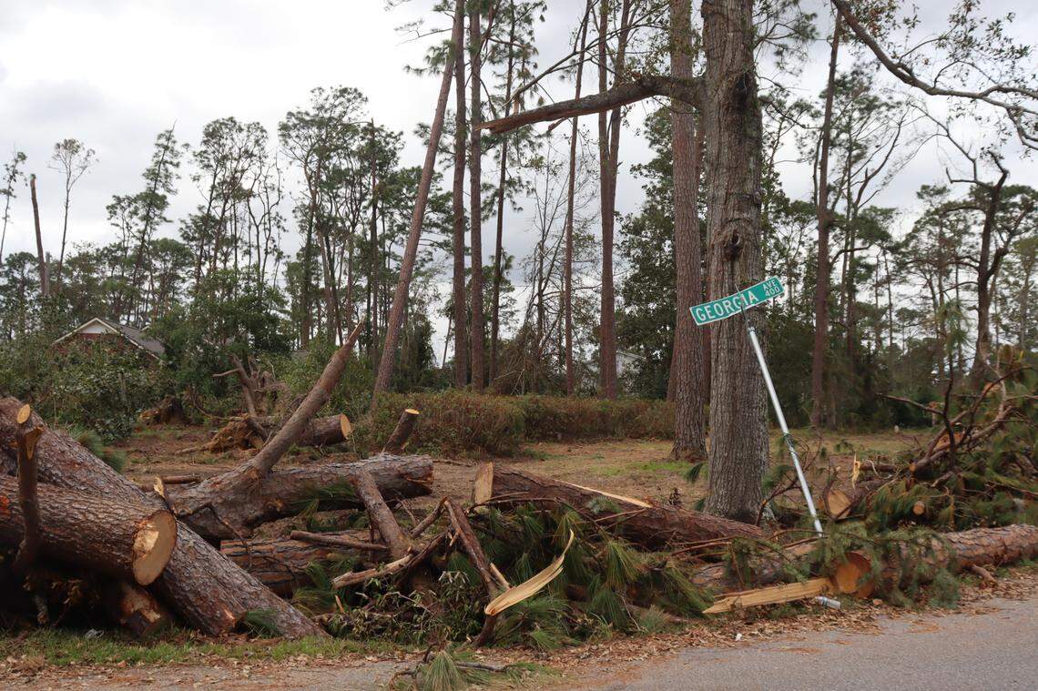Stumps along roads in Valdosta are ubiquitous after Hurricane Helene.
