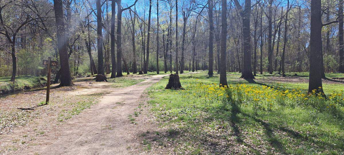 Heath Lake Loop trail in Columbus, Georgia.
