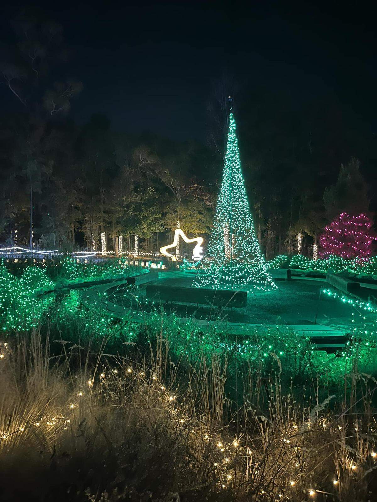 The annual Shine event at Columbus Botanical Gardens has become a holiday must-see.
