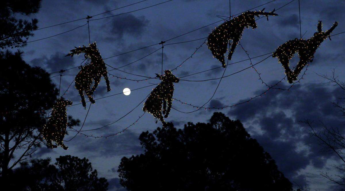 Foster Lambertus has created a large display of Christmas lights, known as Foster’s House of Christmas, in Midland, Georgia. The display is synchronized to music and includes the reindeers that once hung in front of the Carmike building in downtown Columbus. 12/13/2024
