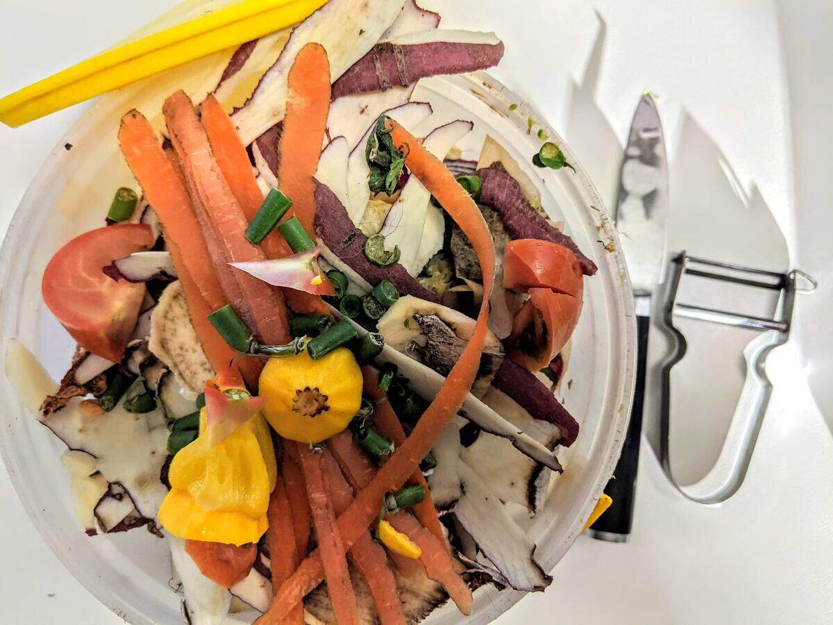 Food scraps in a separate bin from a waste bin. It could be turned into compost to divert methane from landfills.