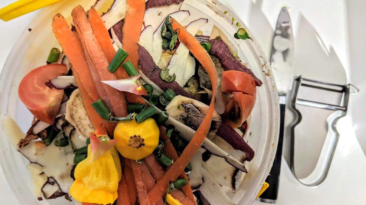 Food scraps in a separate bin from a waste bin. It could be turned into compost to divert methane from landfills.