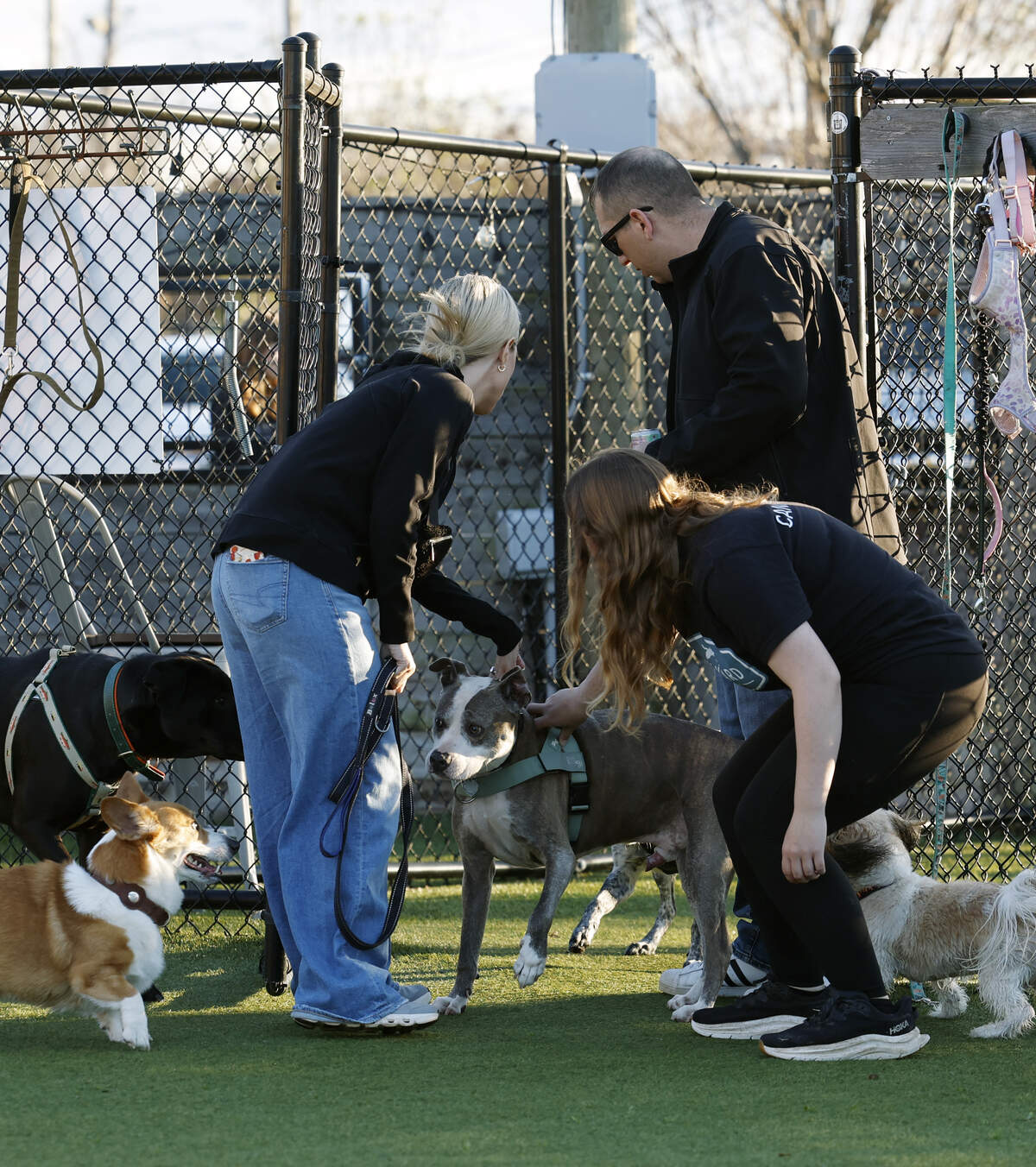 The Yard, operated by Paws Humane Society and described as a dog park and social club, welcomed the community to its soft opening Feb. 27, 2026. Paws is leasing the site previously occupied by Fetch Park, 1432 Fifth Ave., in Columbus.