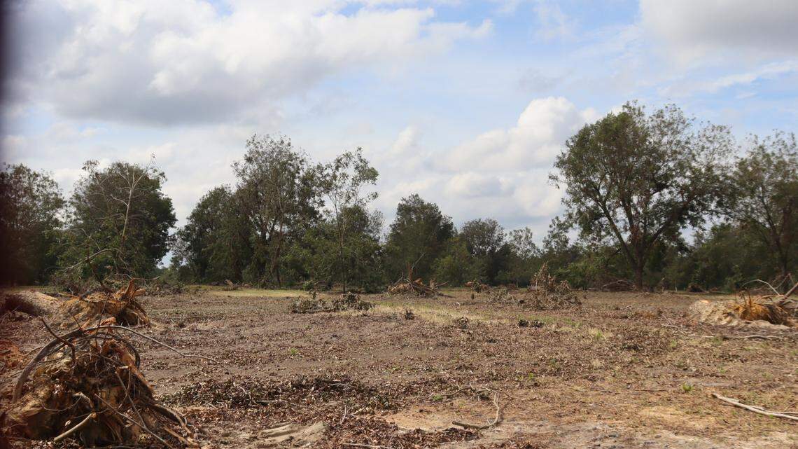 How gov shutdown affects $531 million in Helene agriculture relief for GA farmers