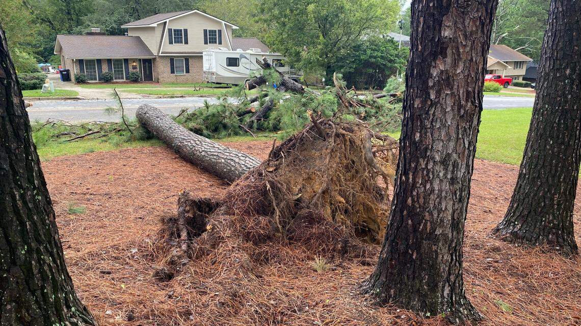 Columbus dodges severe effects from Hurricane Helene. Here’s where roads closed, trees fell
