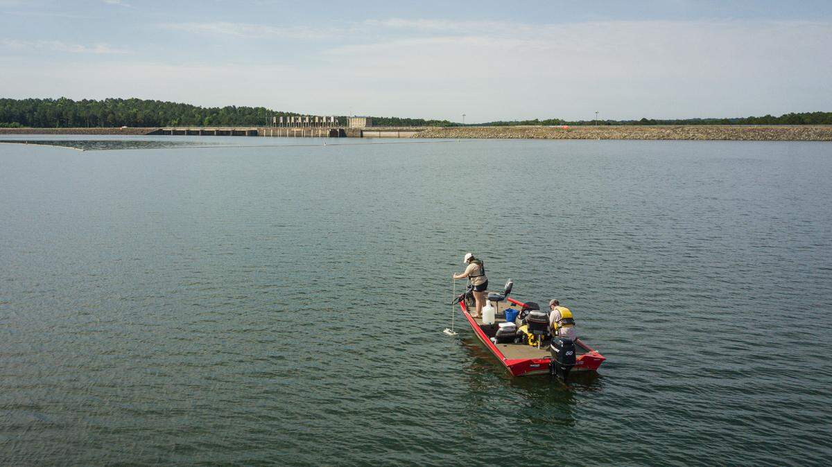 West Point Lake Dam Forebay, April 2023, Ashley Desensi & Henry Jacobs
