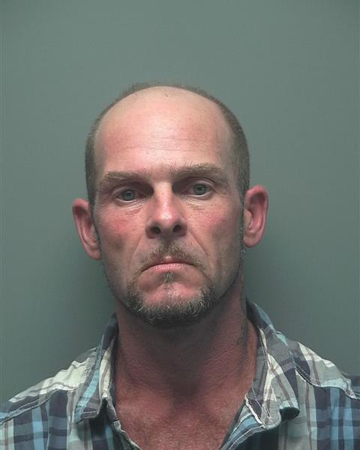 Shannon Patrick Swann