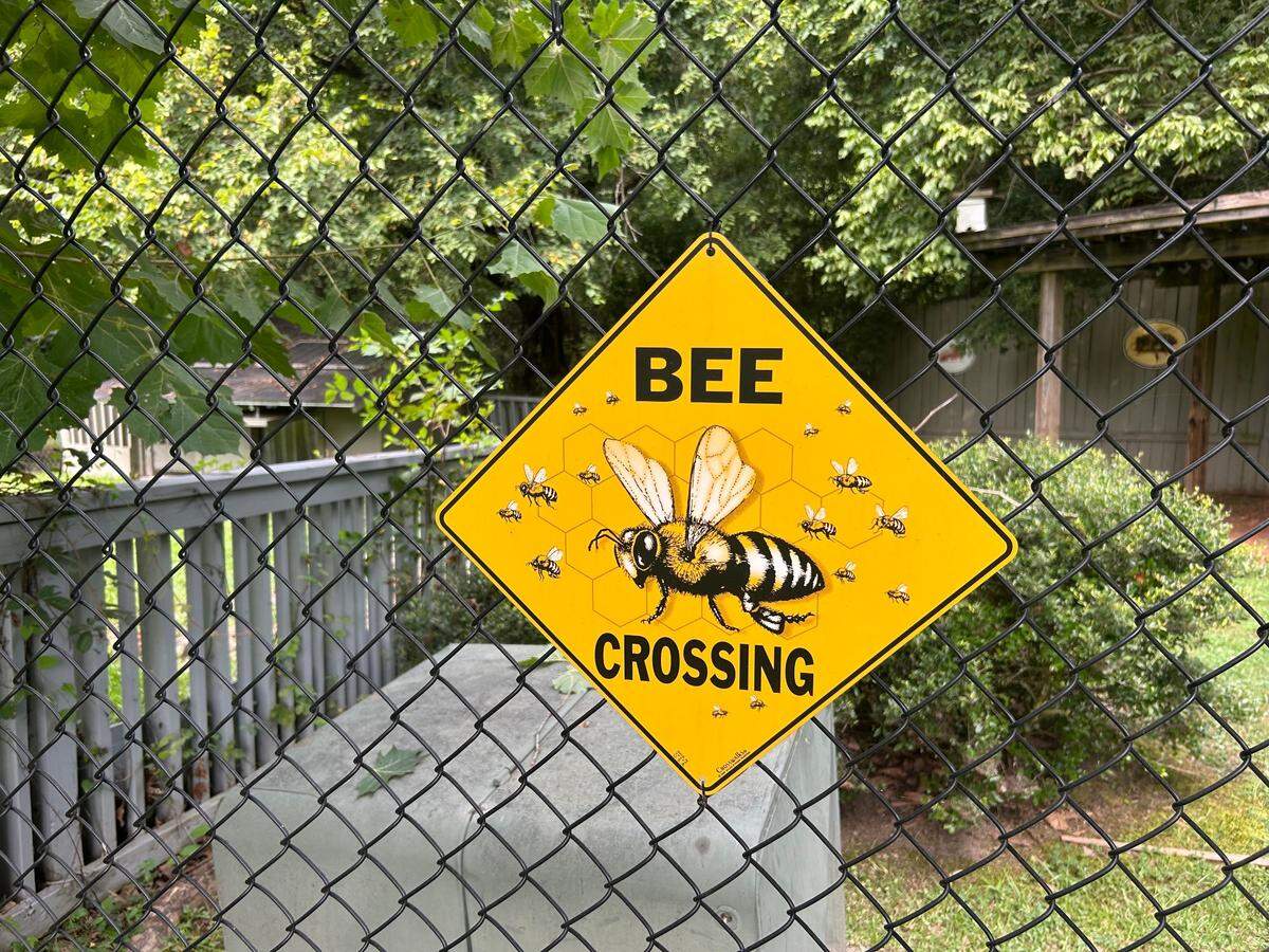 In addition to the glass beehive, the Columbus State University Oxbow Meadows Learning Center also has a bee garden, pictured July 8, 2025, where there are several full-size traditional hives.