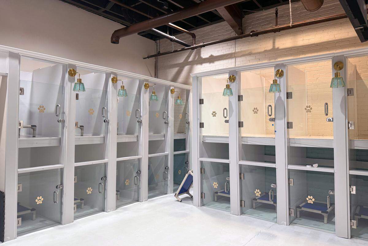 These are the small dog pods at Ruffined Pet Wellness Club, 2210 Wynnton Rd., suite 113, in Columbus, Georgia.