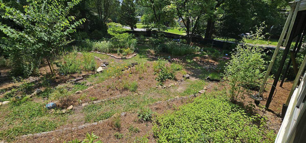 This is an “after” photo of Desensi and Anderson’s backyard before the transformationfrom 2019 to 2023 that added native flowers and plants to attract pollinators.