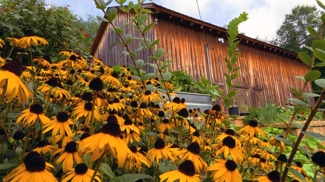 From picnics to brunch to pottery, here’s how you can celebrate Mother’s Day in Columbus