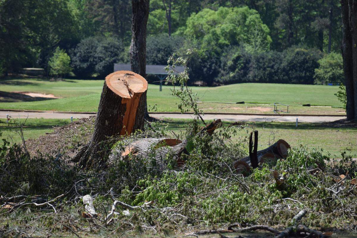 A stump is seen Thursday at Bull Creek Golf Course in Columbus after the course was damaged during Sunday’s storm, which included a tornado and killed a father and son on the course. 4/10/2025.