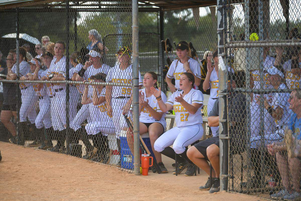 Harris County softball team members cheer during their game against Eastside-Covington on Oct. 31, 2024, in the Georgia High School Association Class AAAA state tournament at South Commons in Columbus.